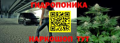 спайс Гусев