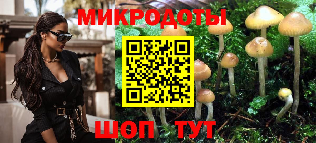 Клинцы  Псилоцибиновые грибы Psilocybe  Вход с VPN  даркнет сайт  Псилоцибиновые грибы мухоморы 