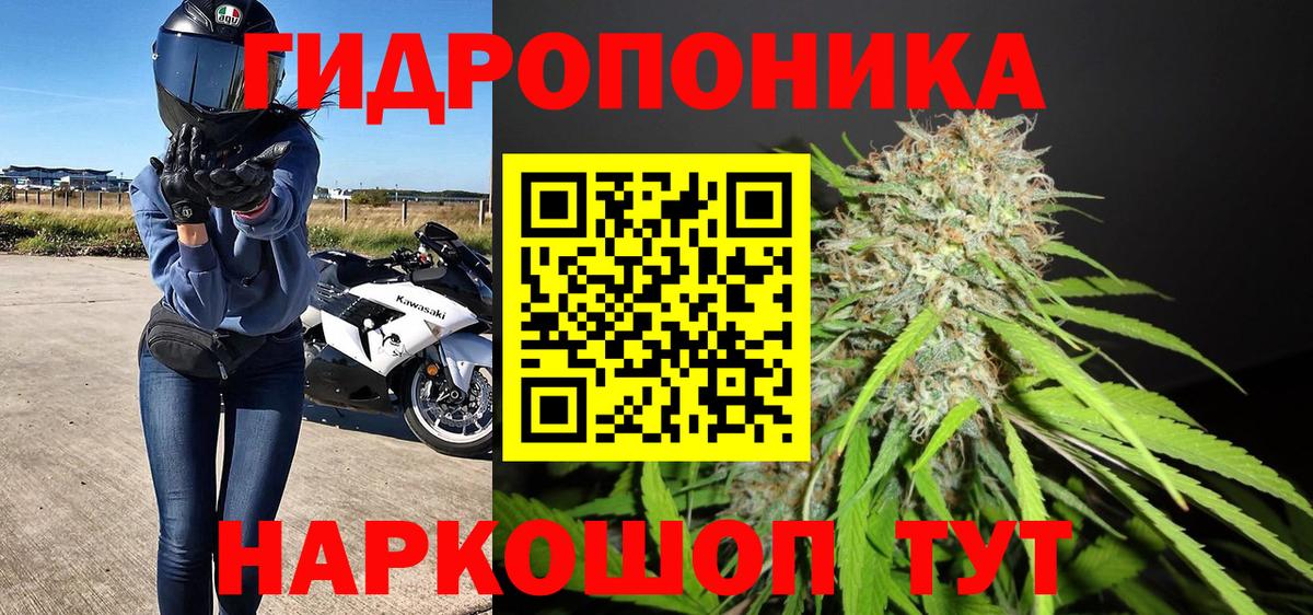 Каннабис ГИДРОПОН Клинцы